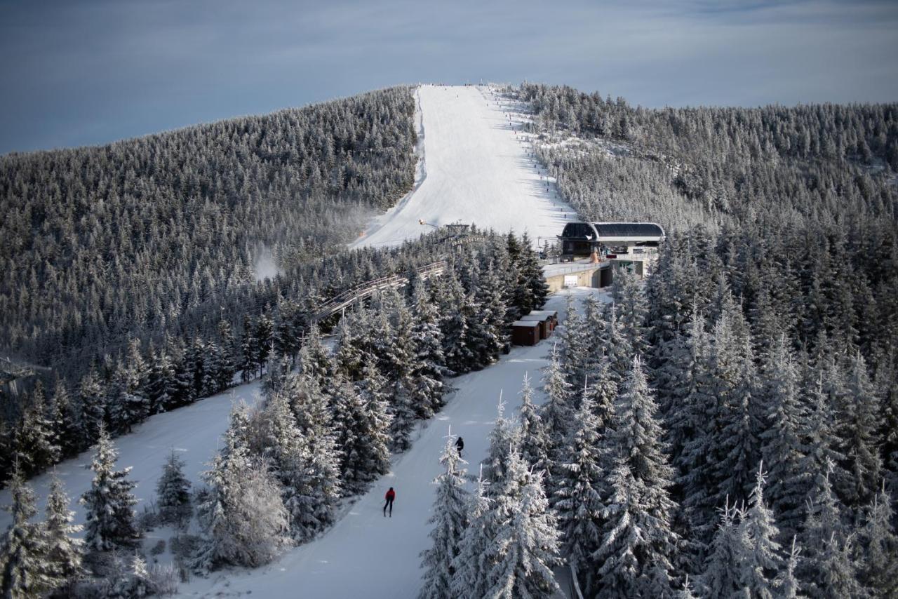 Apartman Pod Sneznikem Dolní Morava Exteriör bild
